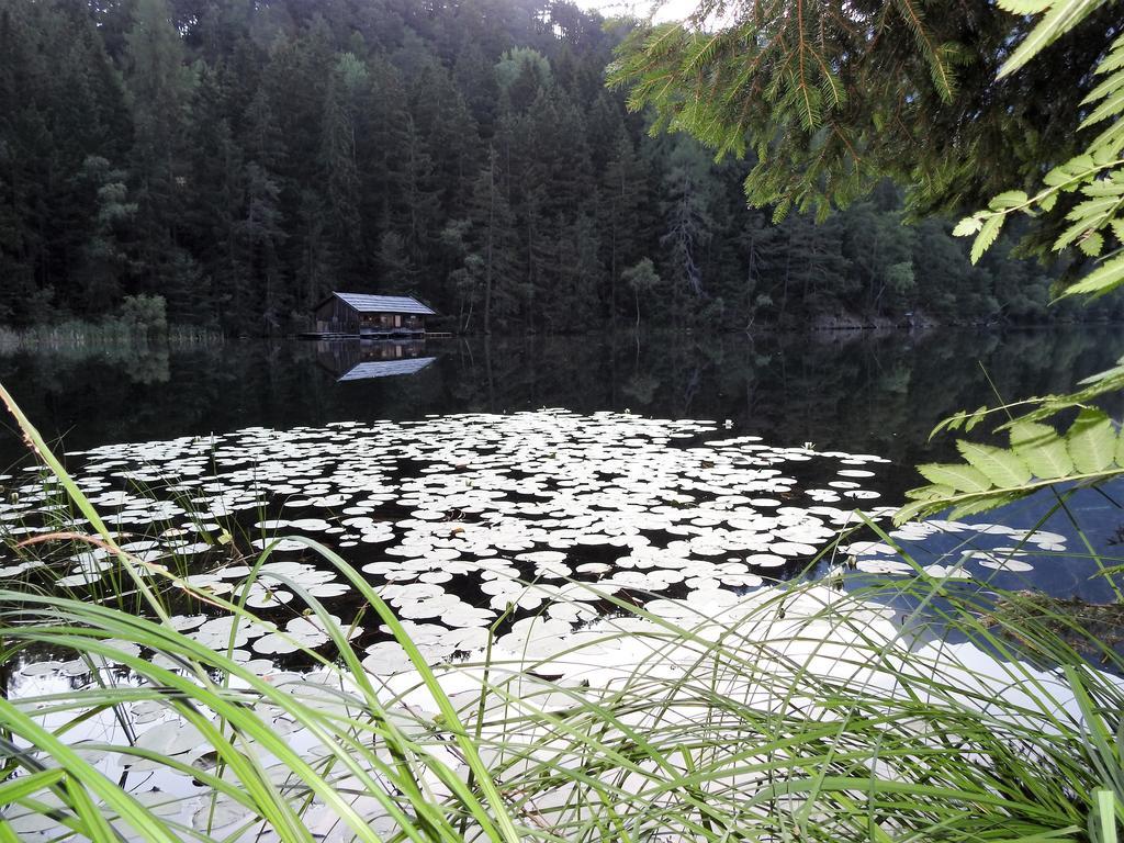 Gasthof Piburger See Hotel Oetz Exterior photo